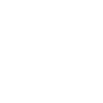 AIP LOGO